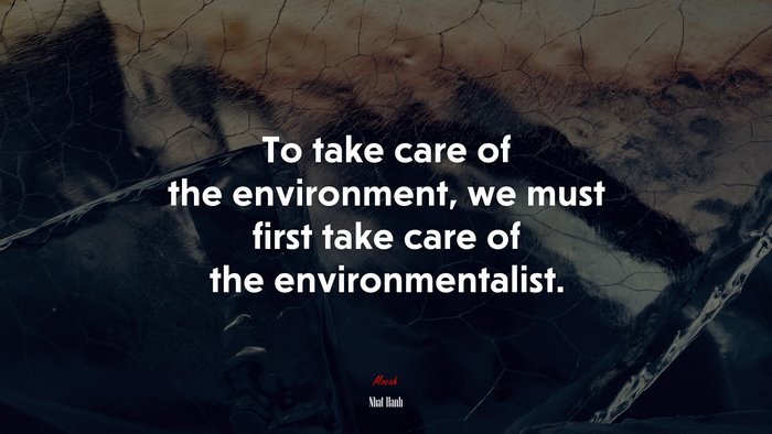 To take care of the environment, we must first take care of the environmentalist. | Nhat Hanh quote