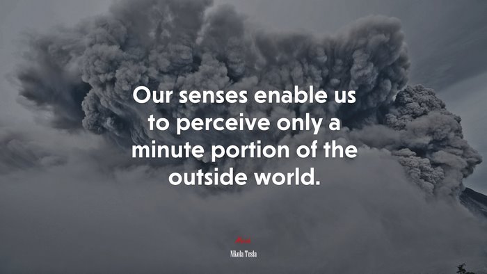 Our senses enable us to perceive only a minute portion of the outside world. | Nikola Tesla quote