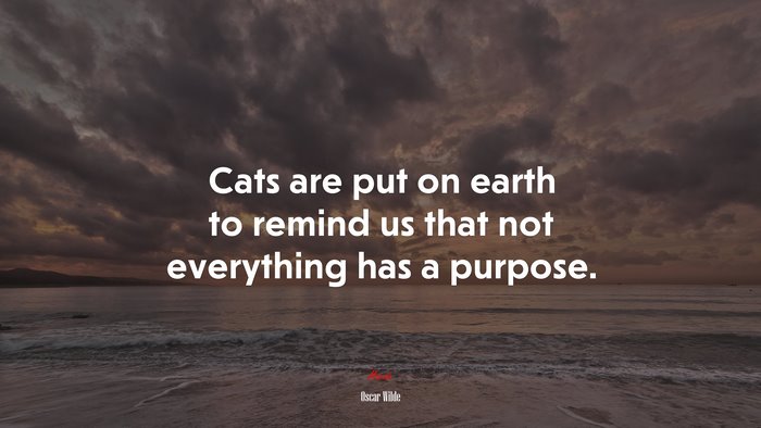 Cats are put on earth to remind us that not everything has a purpose. | Oscar Wilde quote