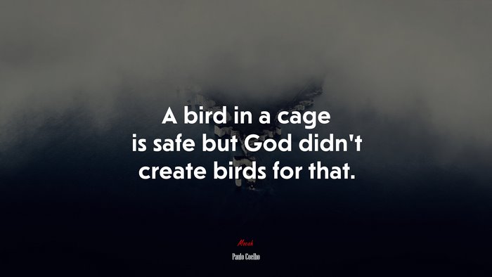A bird in a cage is safe but God didn’t create birds for that. | Paulo Coelho quote