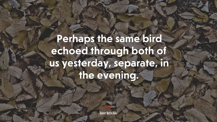 Perhaps the same bird echoed through both of us yesterday, separate, in the evening. | Rainer Maria Rilke quote
