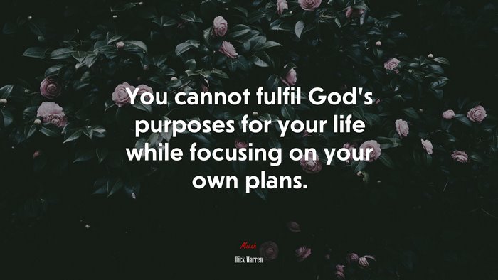 You cannot fulfil God’s purposes for your life while focusing on your own plans. | Rick Warren quote