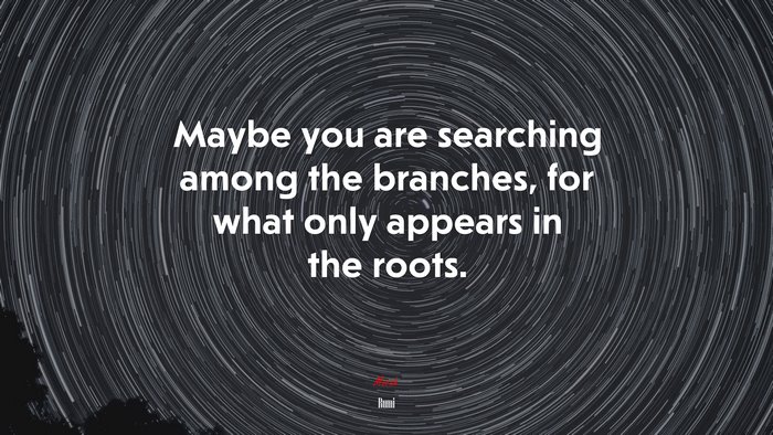 Maybe you are searching among the branches, for what only appears in the roots. | Rumi quote