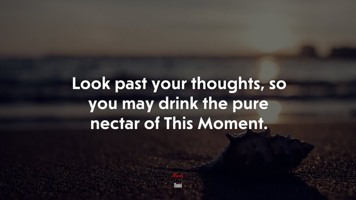 Look past your thoughts, so you may drink the pure nectar of This Moment. | Rumi quote