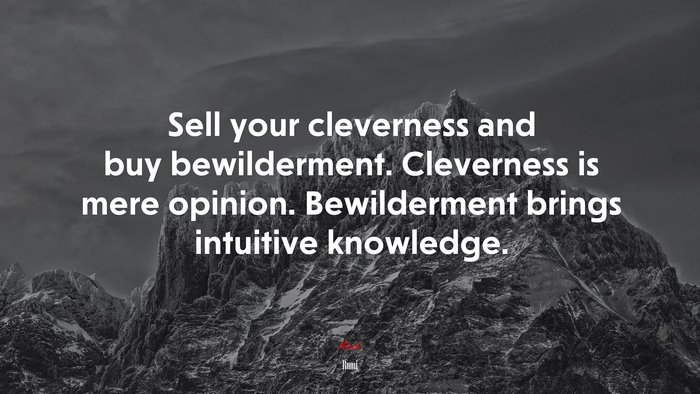 Sell your cleverness and buy bewilderment. Cleverness is mere opinion. Bewilderment brings intuitive knowledge. | Rumi quote