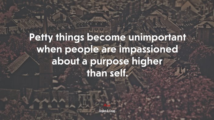 Petty things become unimportant when people are impassioned about a purpose higher than self. | Stephen R. Covey quote