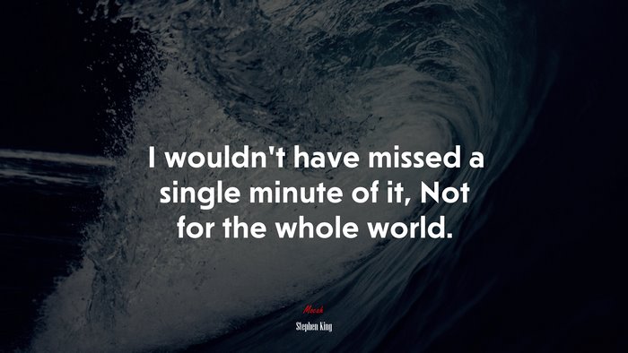 I wouldn’t have missed a single minute of it, Not for the whole world. | Stephen King quote