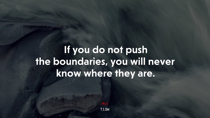 If you do not push the boundaries, you will never know where they are. | T. S. Eliot quote