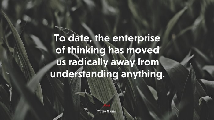 To date, the enterprise of thinking has moved us radically away from understanding anything. | Terence McKenna quote