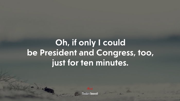Oh, if only I could be President and Congress, too, just for ten minutes. | Theodore Roosevelt quote