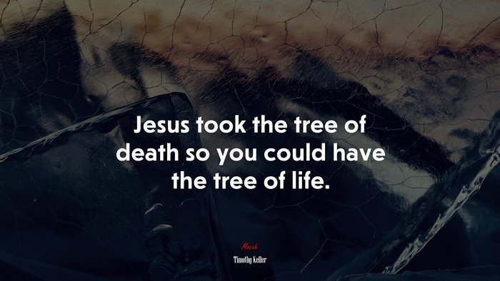 Jesus took the tree of death so you could have the tree of life. | Timothy Keller quote