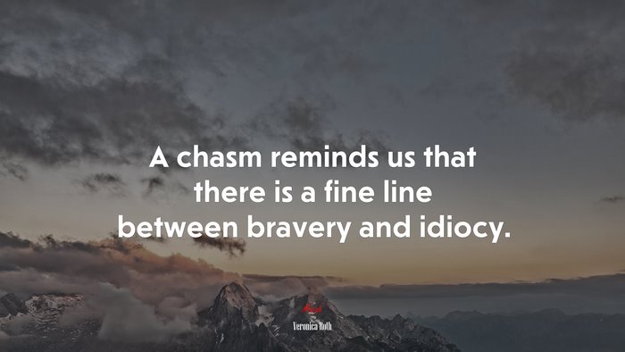 A chasm reminds us that there is a fine line between bravery and idiocy. | Veronica Roth quote