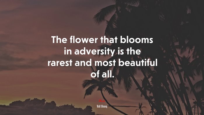 The flower that blooms in adversity is the rarest and most beautiful of all. | Walt Disney quote