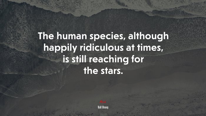 The human species, although happily ridiculous at times, is still reaching for the stars. | Walt Disney quote