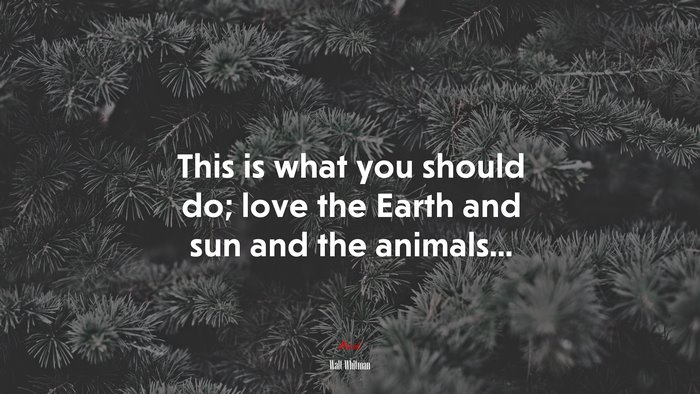This is what you should do; love the Earth and sun and the animals... | Walt Whitman quote