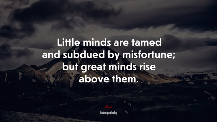 Little minds are tamed and subdued by misfortune; but great minds rise above them. | Washington Irving quote