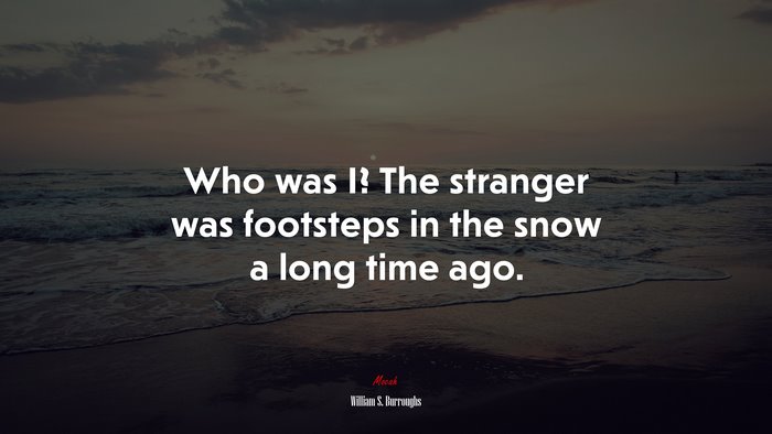 Who was I? The stranger was footsteps in the snow a long time ago. | William S. Burroughs quote