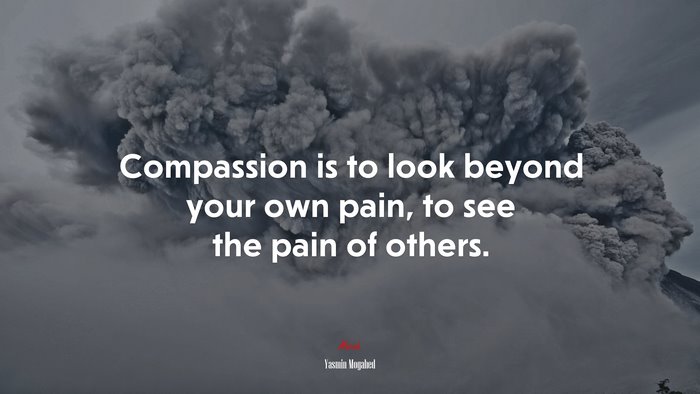 Compassion is to look beyond your own pain, to see the pain of others. | Yasmin Mogahed quote