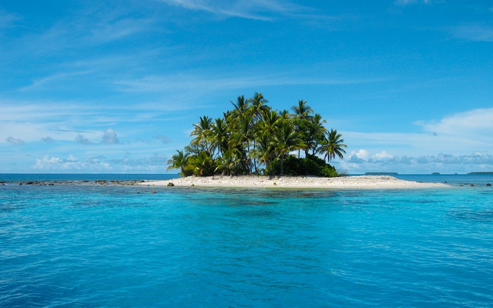 Tropical island with palm trees in the ocean