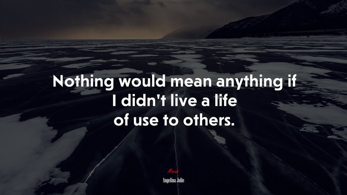 Nothing would mean anything if I didn’t live a life of use to others. | Angelina Jolie quote