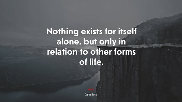 Nothing exists for itself alone, but only in relation to other forms of life. | Charles Darwin quote