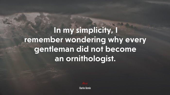 In my simplicity, I remember wondering why every gentleman did not become an ornithologist. | Charles Darwin quote