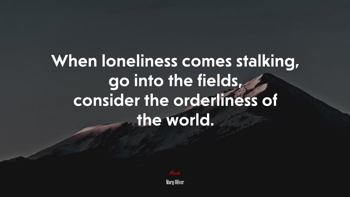 When loneliness comes stalking, go into the fields, consider the orderliness of the world. | Mary Oliver quote