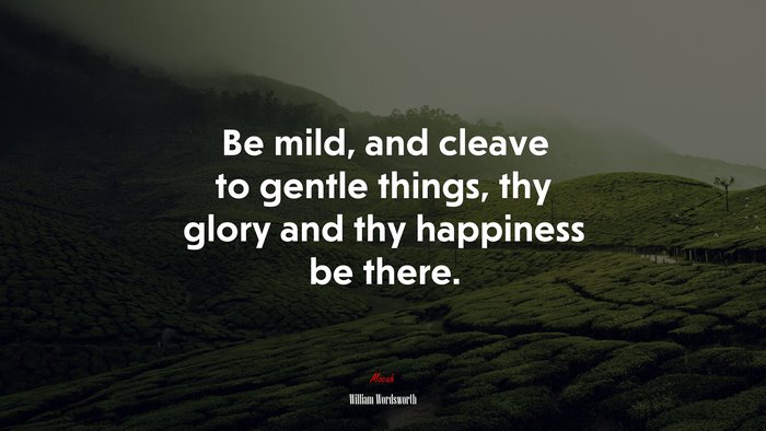 Be mild, and cleave to gentle things, thy glory and thy happiness be there. | William Wordsworth quote