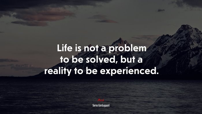 Life is not a problem to be solved, but a reality to be experienced. | Soren Kierkegaard quote