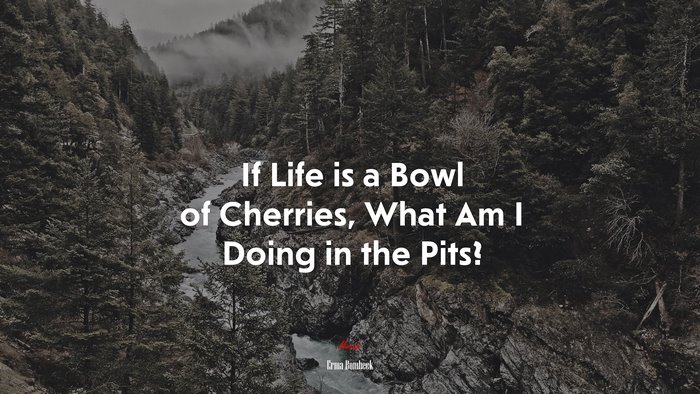 If Life is a Bowl of Cherries, What Am I Doing in the Pits? | Erma Bombeck quote