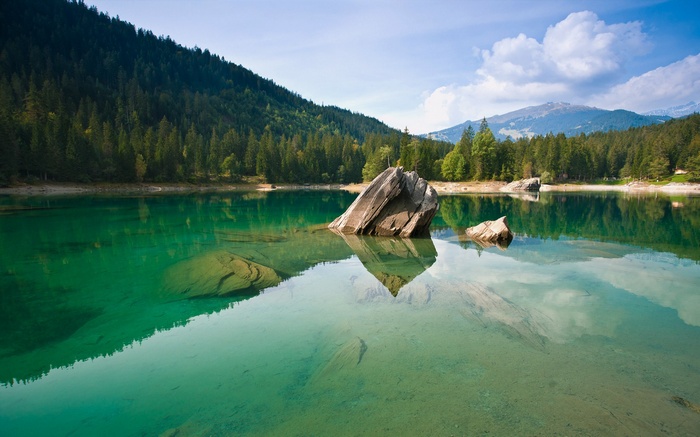 Clear lake with rocks and forest