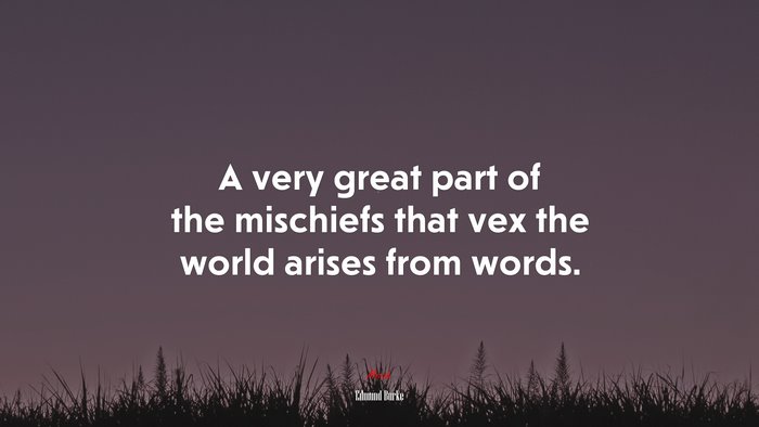A very great part of the mischiefs that vex the world arises from words. | Edmund Burke quote