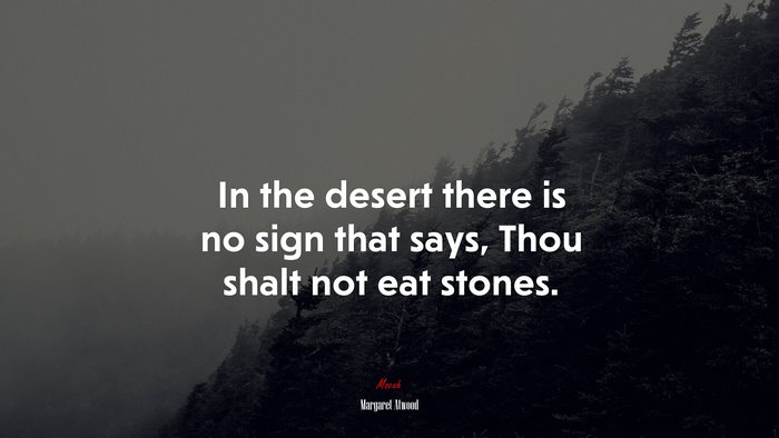 In the desert there is no sign that says, Thou shalt not eat stones. | Margaret Atwood quote