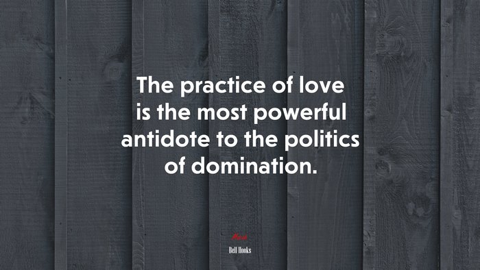 The practice of love is the most powerful antidote to the politics of domination. | Bell Hooks quote
