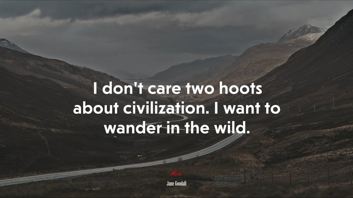 I don’t care two hoots about civilization. I want to wander in the wild. | Jane Goodall quote