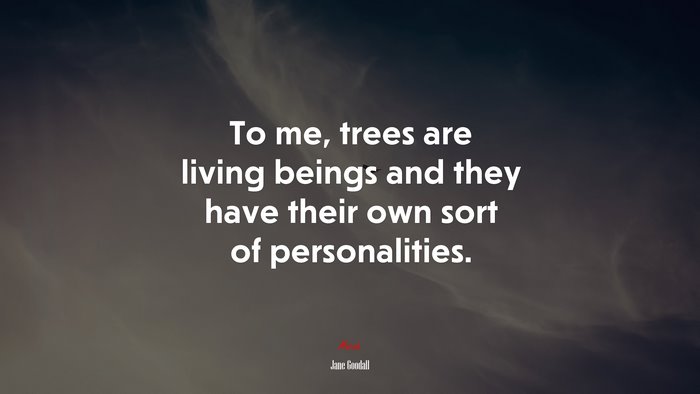 To me, trees are living beings and they have their own sort of personalities. | Jane Goodall quote