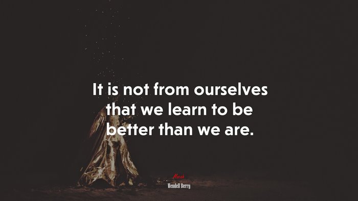 It is not from ourselves that we learn to be better than we are. | Wendell Berry quote