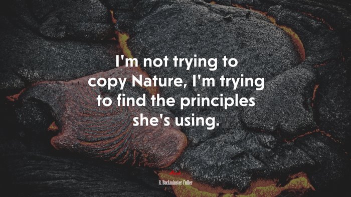 I’m not trying to copy Nature, I’m trying to find the principles she’s using. | R. Buckminster Fuller quote