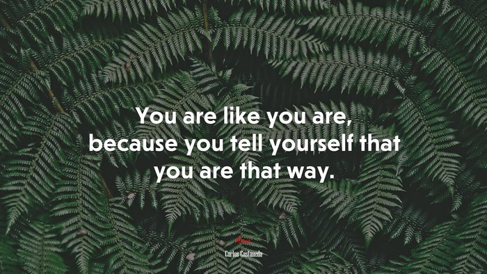 You are like you are, because you tell yourself that you are that way. | Carlos Castaneda quote