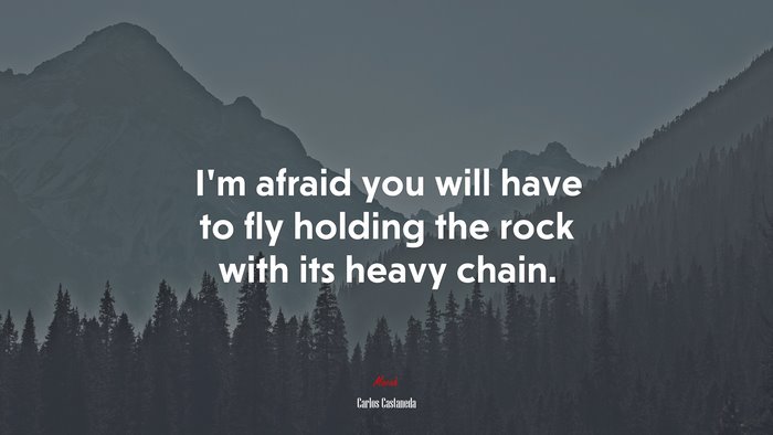 I’m afraid you will have to fly holding the rock with its heavy chain. | Carlos Castaneda quote