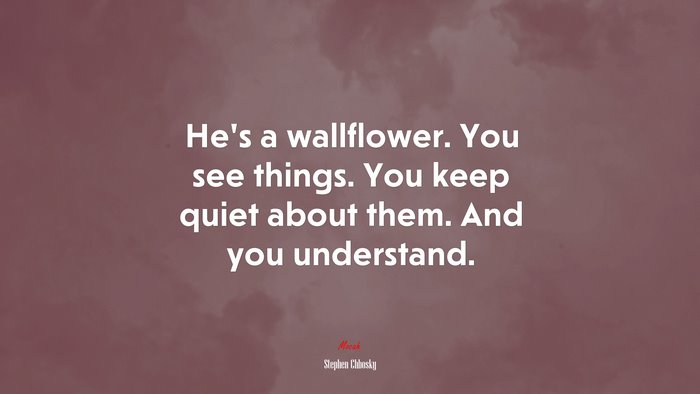 He’s a wallflower. You see things. You keep quiet about them. And you understand. | Stephen Chbosky quote