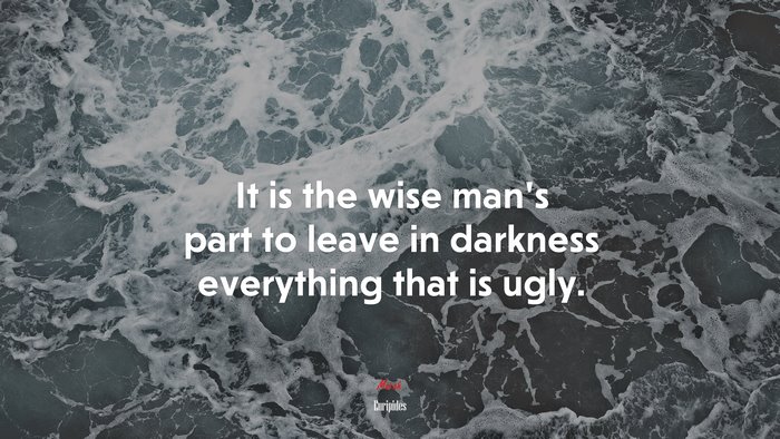 It is the wise man’s part to leave in darkness everything that is ugly. | Euripides quote