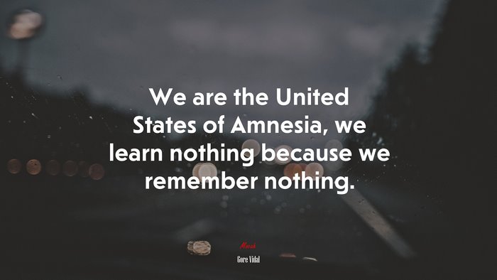 We are the United States of Amnesia, we learn nothing because we remember nothing. | Gore Vidal quote
