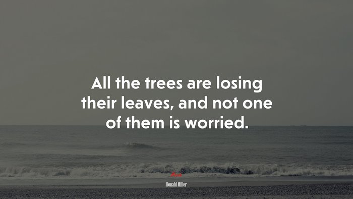 All the trees are losing their leaves, and not one of them is worried. | Donald Miller quote