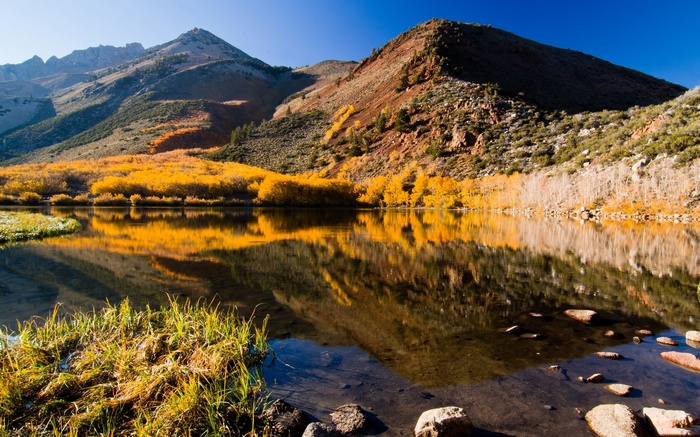 Autumn trees reflecting in a mountain lake