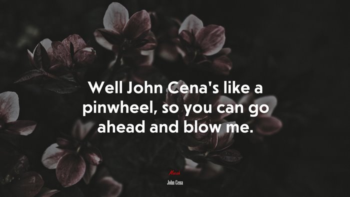 Well John Cena’s like a pinwheel, so you can go ahead and blow me. | John Cena quote
