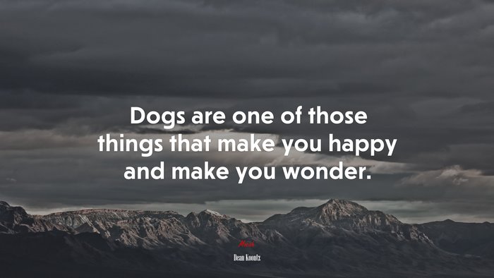 Dogs are one of those things that make you happy and make you wonder. | Dean Koontz quote