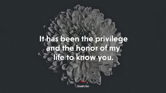 It has been the privilege and the honor of my life to know you. | Cassandra Clare quote