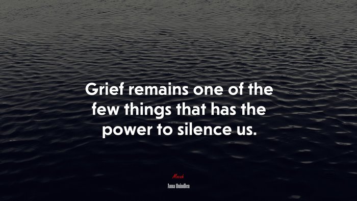 Grief remains one of the few things that has the power to silence us. | Anna Quindlen quote