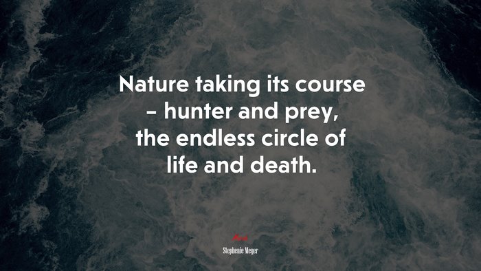 Nature taking its course – hunter and prey, the endless circle of life and death. | Stephenie Meyer quote